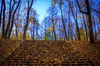 Rusya, Leningrad region, Gatchina, Gatchina park