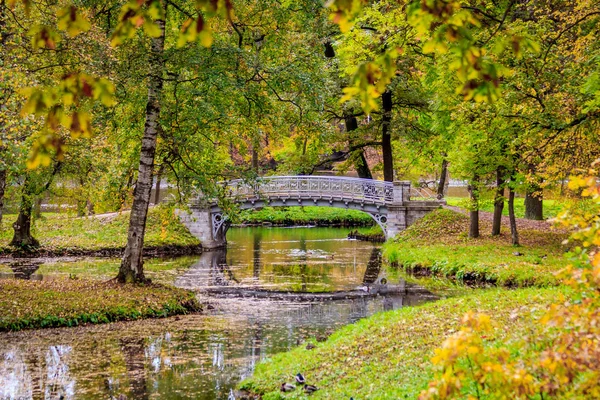 Χρυσή φθινόπωρο στο πάρκο της Gatchina — Φωτογραφία Αρχείου