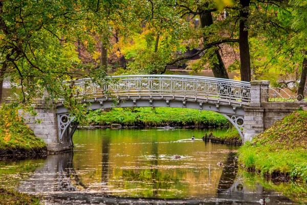 ガッチナ公園で黄金色の秋 — ストック写真