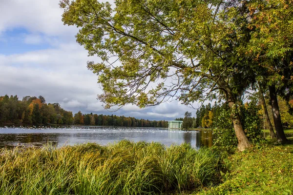 Gouden herfst in het Park van Gatchina — Stockfoto