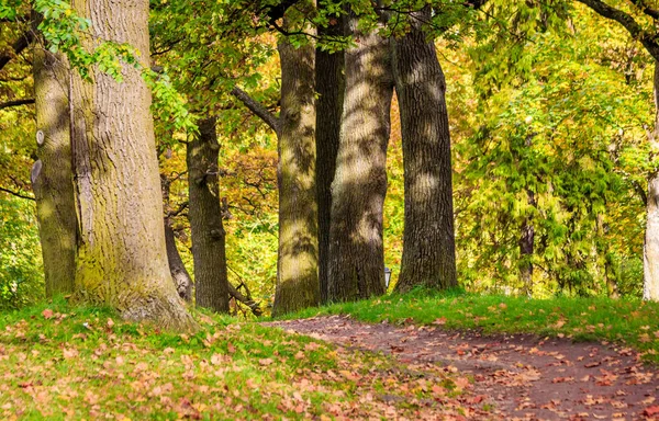Rusya, Leningrad region, Gatchina, Gatchina park