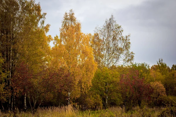 Rusko Leningradská Oblast Gatčina Gatčina Park — Stock fotografie