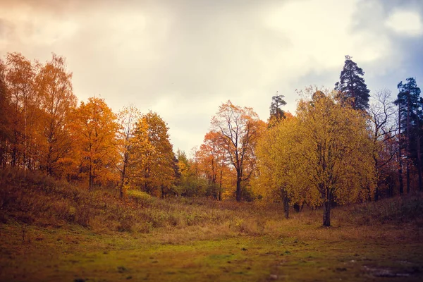 Rusya, Leningrad region, Gatchina, Gatchina park
