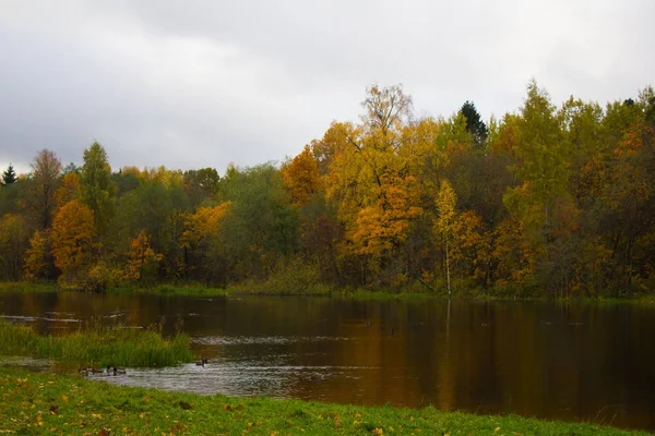 Rusya Leningrad Region Gatchina Gatchina Park — Stok fotoğraf