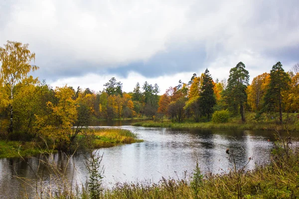 Rusia Wilayah Leningrad Gatchina Gatchina Taman — Stok Foto