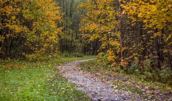 Russland Leningrader Region Gatchina Gatchina Park — Stockfoto