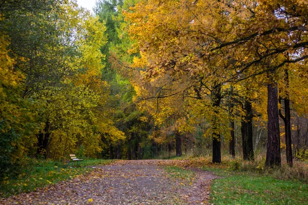 Rusko Leningradská Oblast Gatčina Gatčina Park — Stock fotografie