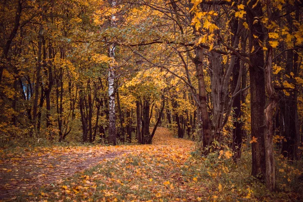 Ρωσίας Λένινγκραντ Περιοχή Γκάτσινα Γκάτσινα Πάρκο — Φωτογραφία Αρχείου