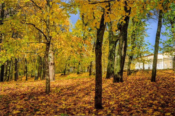 Rusya, Leningrad region, Gatchina, Gatchina park