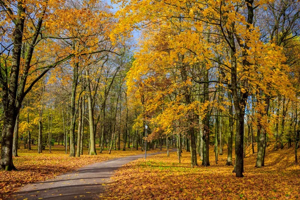 Russland Leningrader Region Gatchina Gatchina Park — Stockfoto