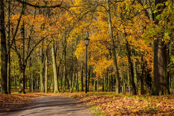 Rússia Região Leningrado Gatchina Parque Gatchina — Fotografia de Stock