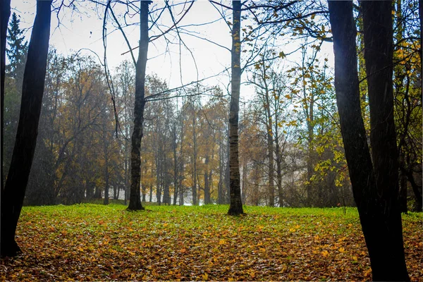 Rusland Leningrad Regio Gatchina Gatchina Park — Stockfoto