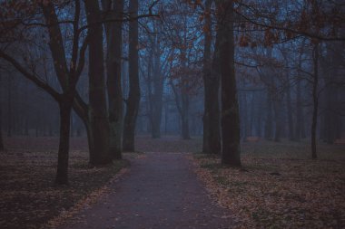 Ekim, sabah sis, şehir Gatchina, Leningrad bölge sonu