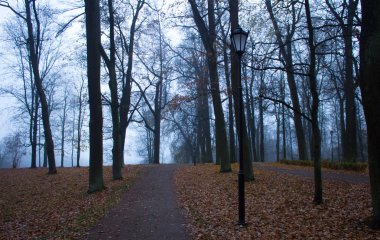 Ekim, sabah sis, şehir Gatchina, Leningrad bölge sonu