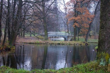 Ekim, sabah sis, şehir Gatchina, Leningrad bölge sonu