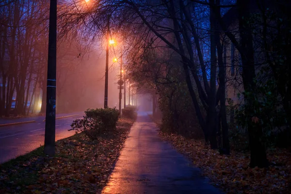 Finales Octubre Niebla Mañana Ciudad Gatchina Región Leningrado — Foto de Stock