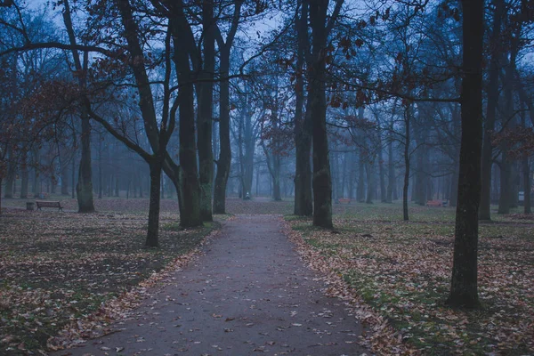 Final Outubro Névoa Manhã Cidade Gatchina Região Leningrado — Fotografia de Stock