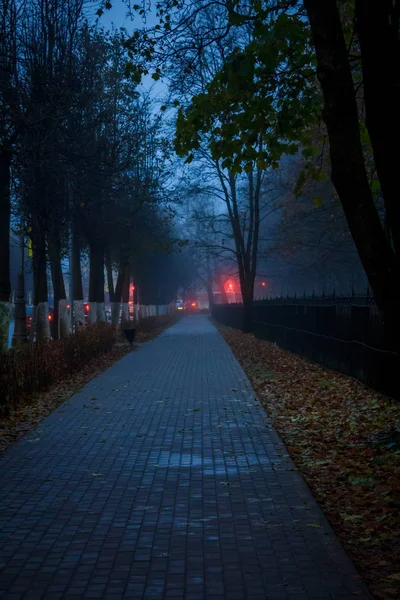 Final Outubro Névoa Manhã Cidade Gatchina Região Leningrado — Fotografia de Stock