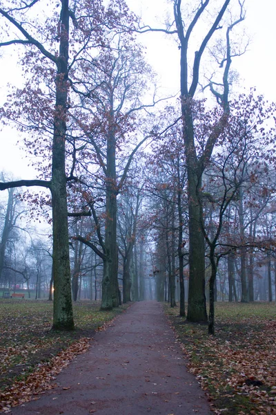 Final Outubro Névoa Manhã Cidade Gatchina Região Leningrado — Fotografia de Stock