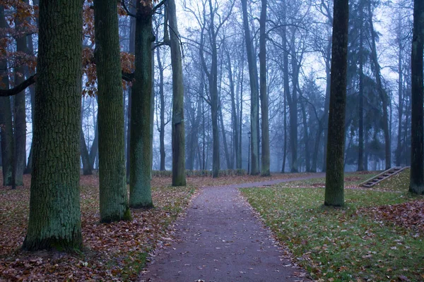 Pod Koniec Października Ranna Mgła Miasto Gatchina Leningrad Region — Zdjęcie stockowe