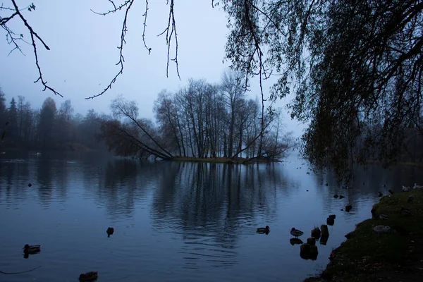 Fin Octobre Brume Matinale Ville Gatchina Région Leningrad — Photo