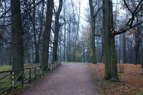 Het Einde Van Oktober Ochtendnevel Stad Van Gatchina Leningrad Regio — Stockfoto