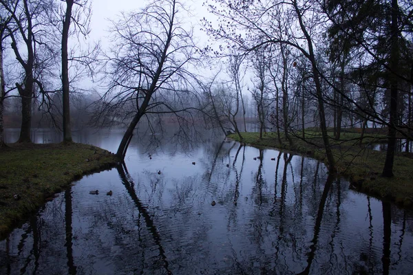 Fin Octobre Brume Matinale Ville Gatchina Région Leningrad — Photo