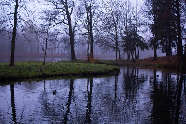 Koncem Října Ranní Mlhy Městě Gatčina Leningrad Region — Stock fotografie