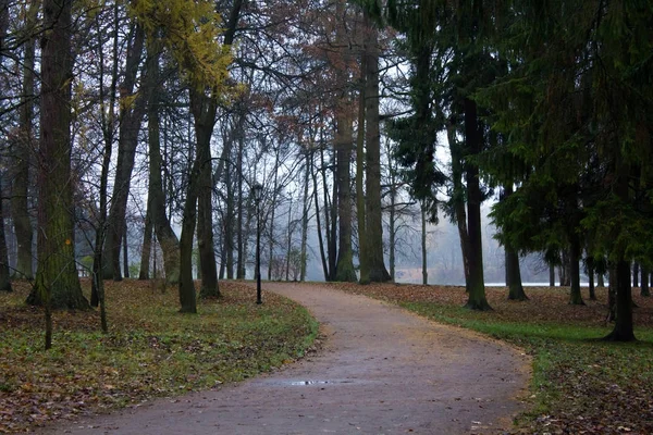 Fine Ottobre Nebbia Mattutina Città Gatchina Regione Leningrado — Foto Stock