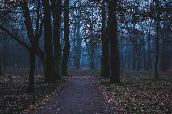 Akhir Oktober Kabut Pagi Kota Gatchina Wilayah Leningrad Stok Gambar Bebas Royalti