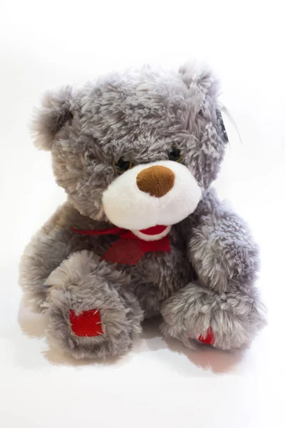 Soft Toy Bear White Background — Stock Photo, Image