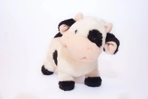 Soft toy cow on white background