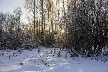Kış soğuk güneşli landscapegatchina mahalle kış park 2018