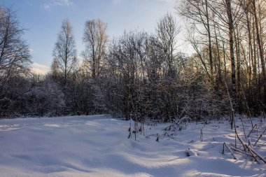 Kış soğuk güneşli landscapegatchina mahalle kış park 2018