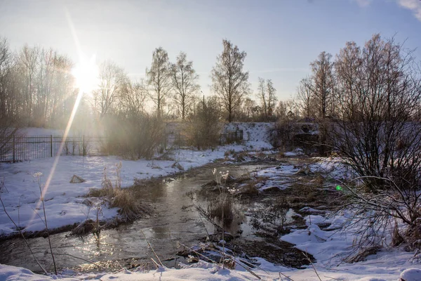 Inverno Congelado Ensolarado Paisagemgatchina Bairro Inverno Parque 2018 — Fotografia de Stock