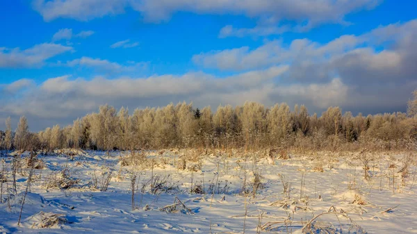 Winter Frostig Sonnig Landschaft Egatchina Nachbarschaft Winter Park 2018 — Stockfoto