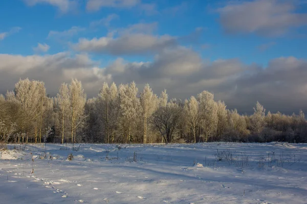 Winter Frosty Zonnige Landscapegatchina Buurt Winter Park 2018 — Stockfoto