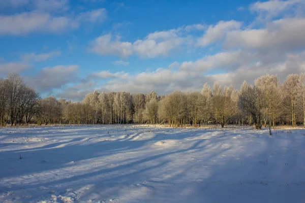 Inverno Gelido Paesaggio Soleggiato Gatchina Quartiere Inverno Parco 2018 — Foto Stock