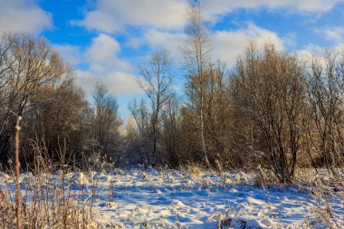 Kış soğuk güneşli landscapegatchina mahalle kış park 2018