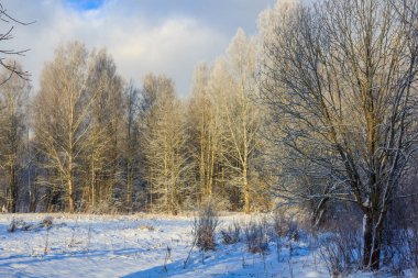 Kış soğuk güneşli landscapegatchina mahalle kış park 2018
