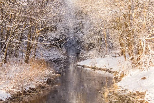 Park Zimowy Mroźny Słoneczny Landscapegatchina Okolicy Zima 2018 — Zdjęcie stockowe