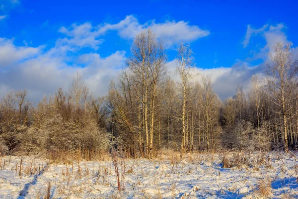 Winter Frostig Sonnig Landschaft Egatchina Nachbarschaft Winter Park 2018 — Stockfoto