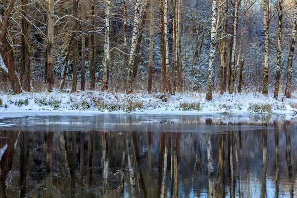 Зимовий Морозний Сонячний Ландшафт Гатчинський Район Зимовий Парк 2018 — стокове фото