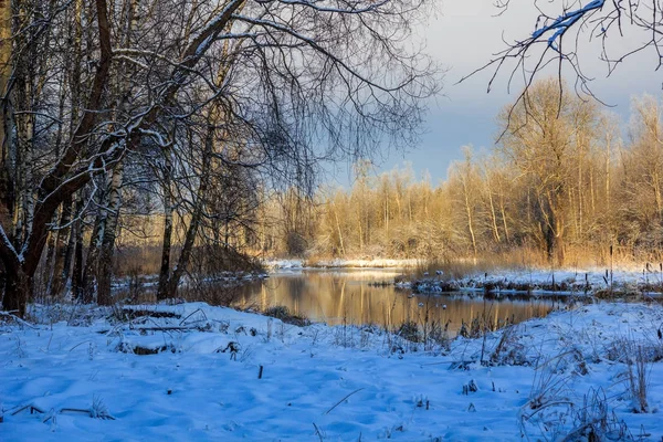 Winter Frosty Sunny Landscapegatchina Neighborhood Winter Park 2018 — Stock Photo, Image