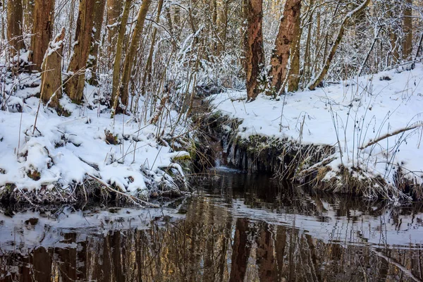 Winter Frostig Sonnig Landschaft Egatchina Nachbarschaft Winter Park 2018 — Stockfoto