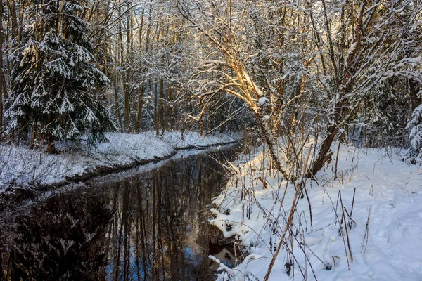 Hiver Givré Paysage Ensoleillégatchina Quartier Parc Hiver 2018 — Photo