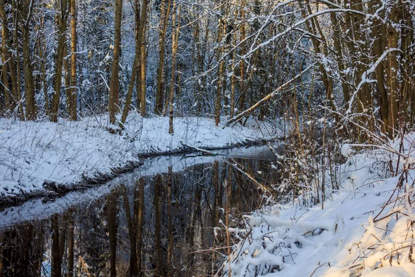 Inverno Congelado Ensolarado Paisagemgatchina Bairro Inverno Parque 2018 — Fotografia de Stock