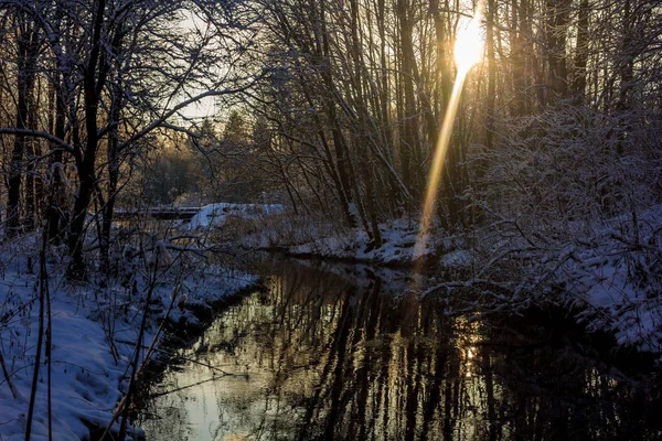 Invierno Helado Soleado Paisajegatchina Barrio Parque Invierno 2018 — Foto de Stock