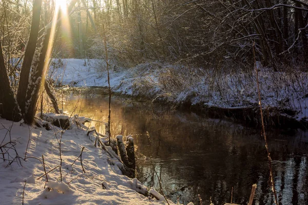 Invierno Helado Soleado Paisajegatchina Barrio Parque Invierno 2018 — Foto de Stock