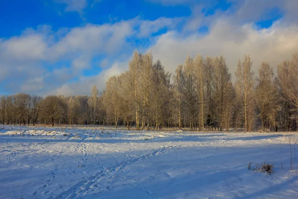 Inverno Gelido Paesaggio Soleggiato Gatchina Quartiere Inverno Parco 2018 — Foto Stock